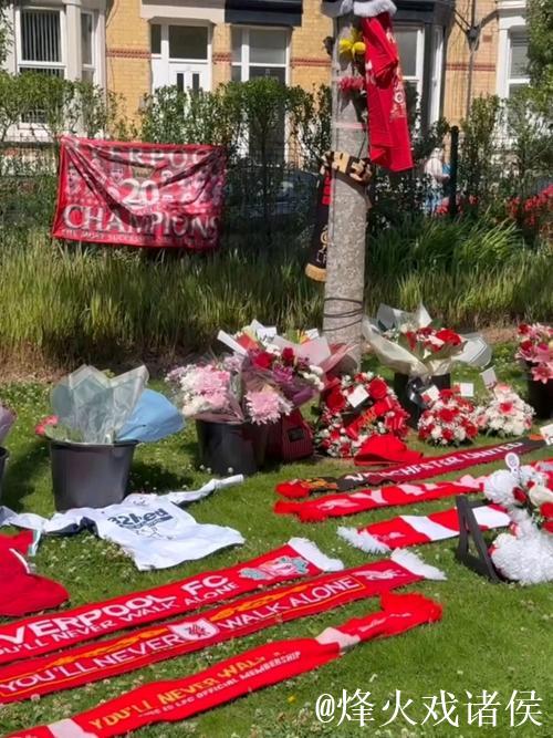 B费谈为若塔献花：缅怀特别的朋友，感谢利物浦让我们致敬若塔